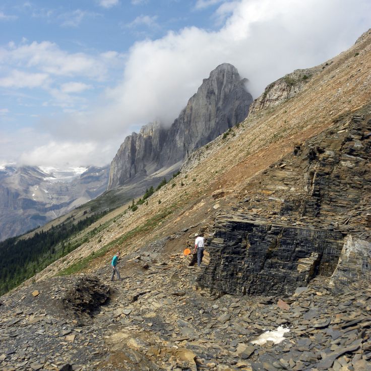 Burgess Shale