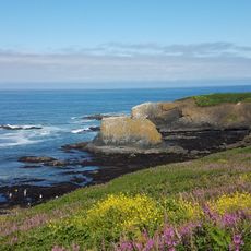 Yaquina Head
