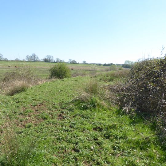 Syresham Marshy Meadows