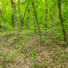 Cetățuie - Pojăreni