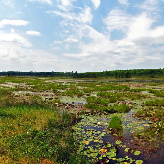 Grandma Lake Wetlands State Natural Area