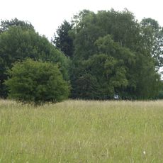 The Gardens, Great Ashfield