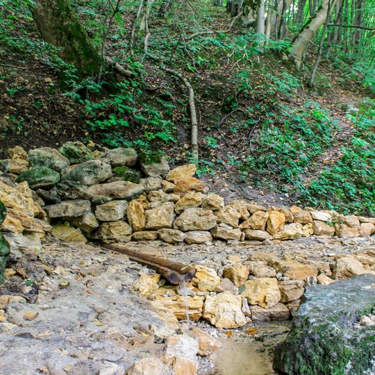 Джерело Ринва