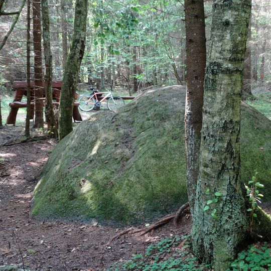 Tyrelio Erratic Stone