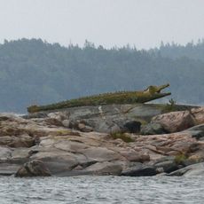 Krokodilen på Rögrund