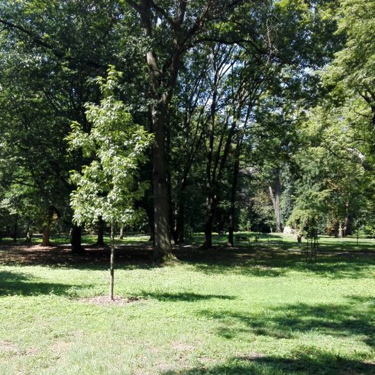 Town Park in Głogówek