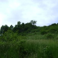 Krzyżowa (Góry Kaczawskie)