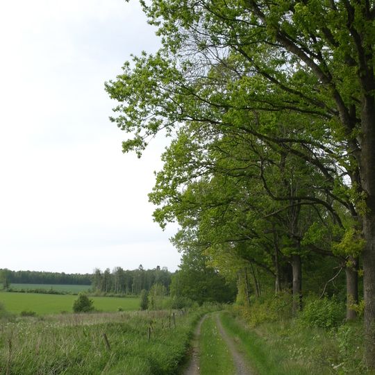 En tall N Freberga 1:1