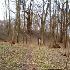 Burgwall Laschendorf