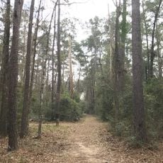 Lake Houston Wilderness Park