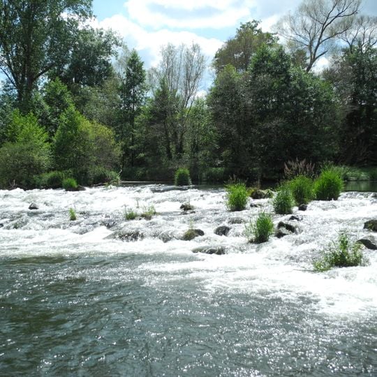 Ederauen zwischen Bergheim und Wega
