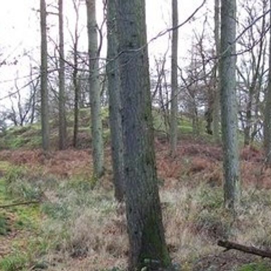 Cockroad Wood Castle