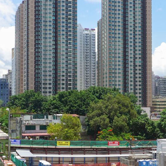 Yuccie Square