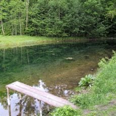 Mežmuiža springs