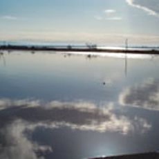 Reserva natural del lago Salton «Sonny Bono»