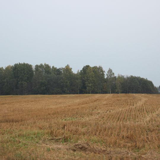 Martiniškėnai hillfort