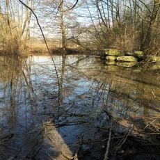 Beibach mit Teich und Feuchtflächen