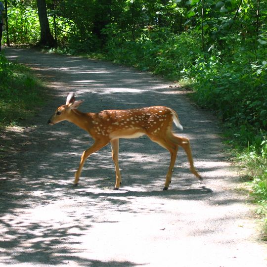 Lemoine Point Conservation Area