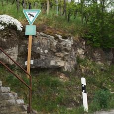 Aufschluß des Kieselsandsteins (sog.Geol.Fenster)