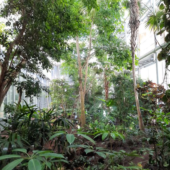 Serra tropicale