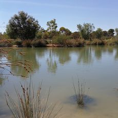 Pinnaroo Wetlands / Pinnaroo Animal Park & Bird Aviary