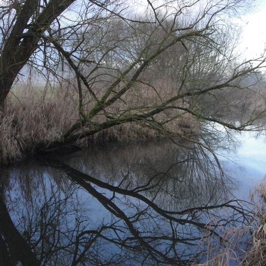 Schutz der Paarauen im Gebiet der Stadt Schrobenhausen, Stadtteil Mühlried und der Gemeinde Waidhofen