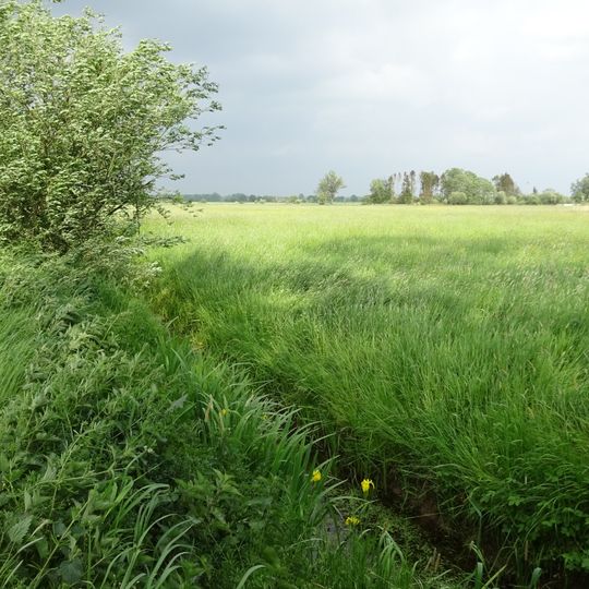 NSG Hetter-Millinger Bruch