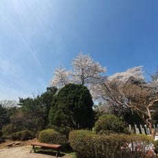Yeoksam Park