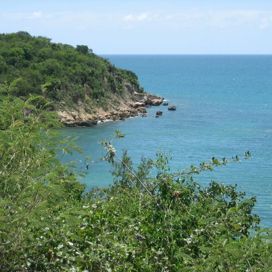 Bosque estatal de Guánica