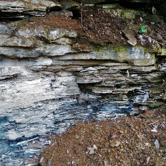 Ölschiefer-Aufschluss NNW von Hetzles