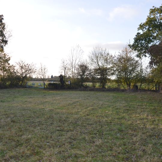 Chettisham Meadow