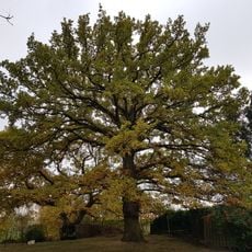 Gallow on the Emmaberg