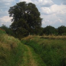 Zalešanské maďaly