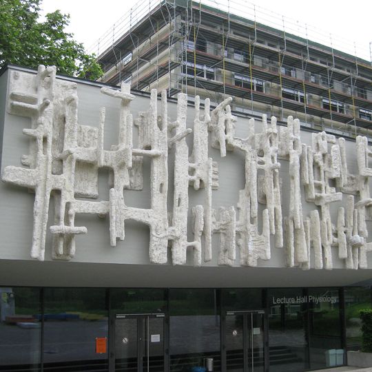 Magnetisches Raumfeld