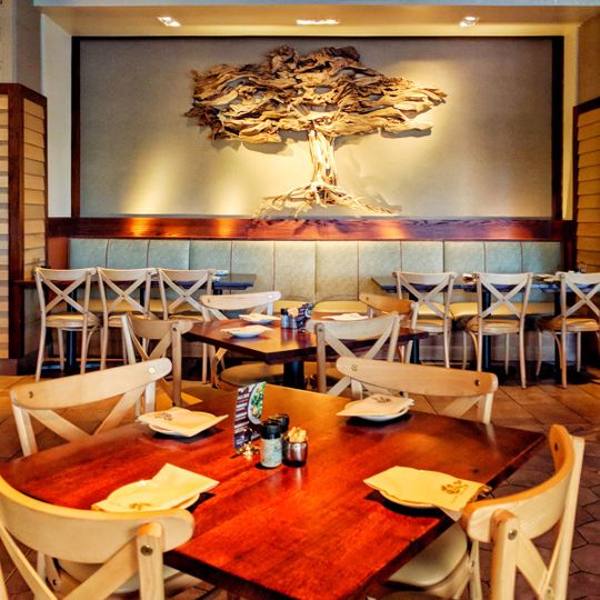 Tupelo Honey