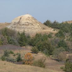 Old Baldy