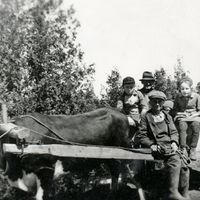 Sainte-Sophie-d'Halifax