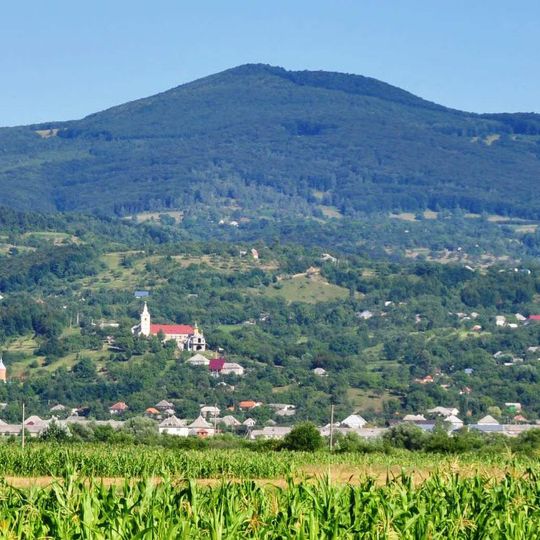 Tupoj