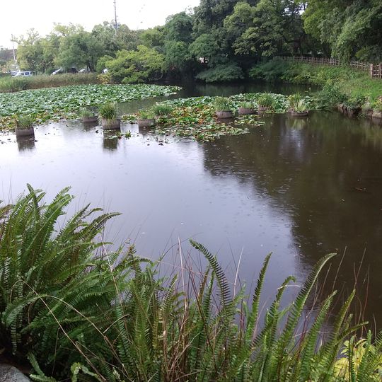 6th Moat of Fukuoka Castle