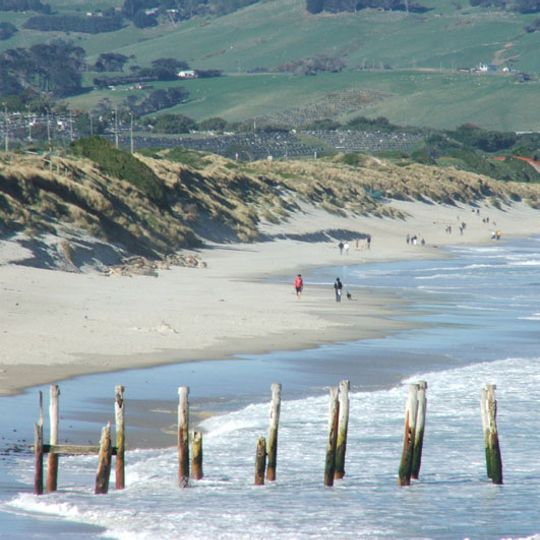 Ocean Beach