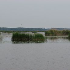 Babīte lake nature reserve
