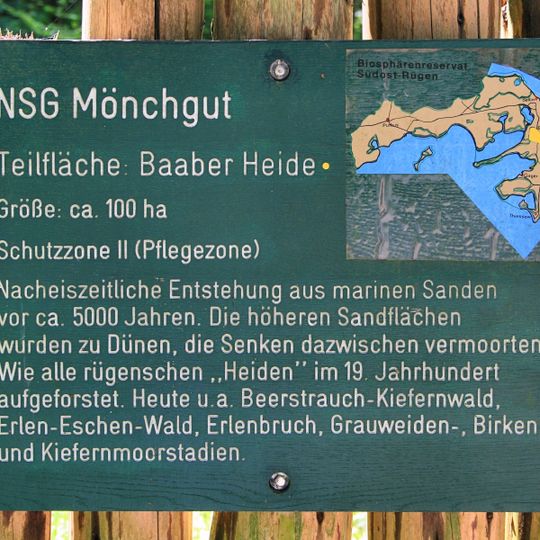 Göhrener Litorinakliff und Baaber Heide