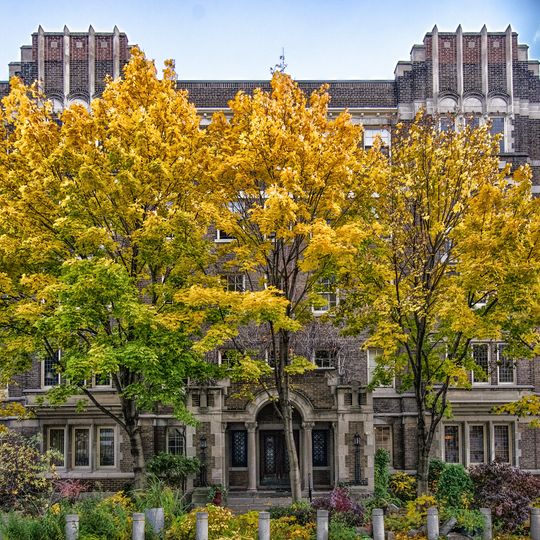 Windsor Arms Apartments