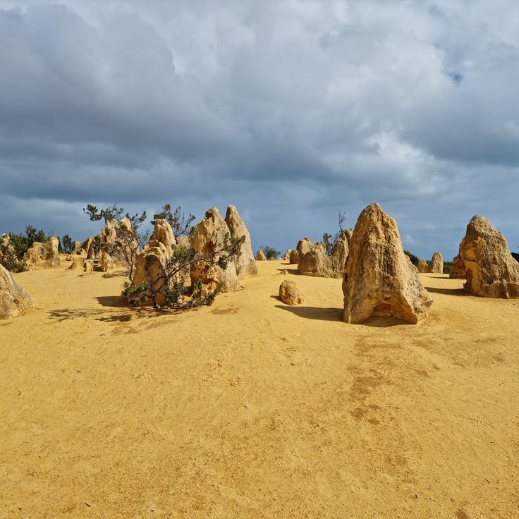 Parque Nacional de Nambung