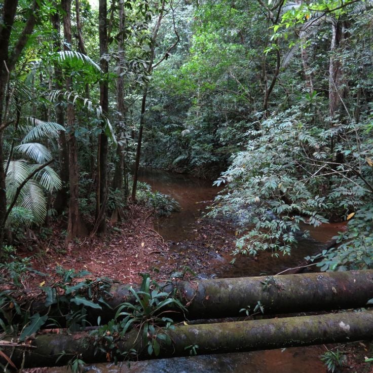 Parc National Soberanía