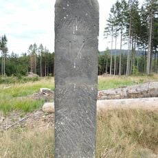 Hraniční kámen lesního revíru u lesní cesty severovýchodně od nádraží Jedlová