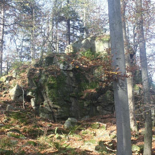 Jaronínská bučina