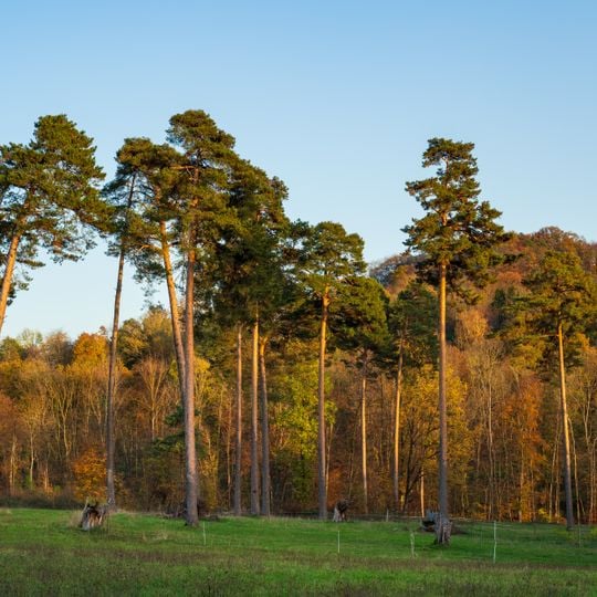 Wunnenstein, Forstberg und Köchersberg mit angrenzenden Gebieten