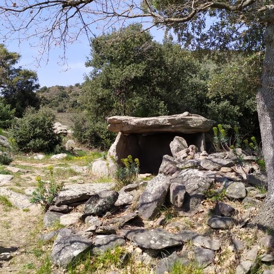 Dolmen von Lieussanes