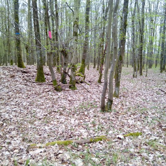 Kleine Keltenschanze